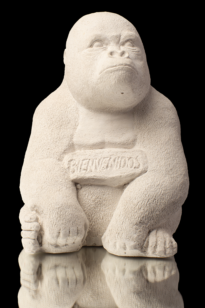 Bienvenidos Gigantes