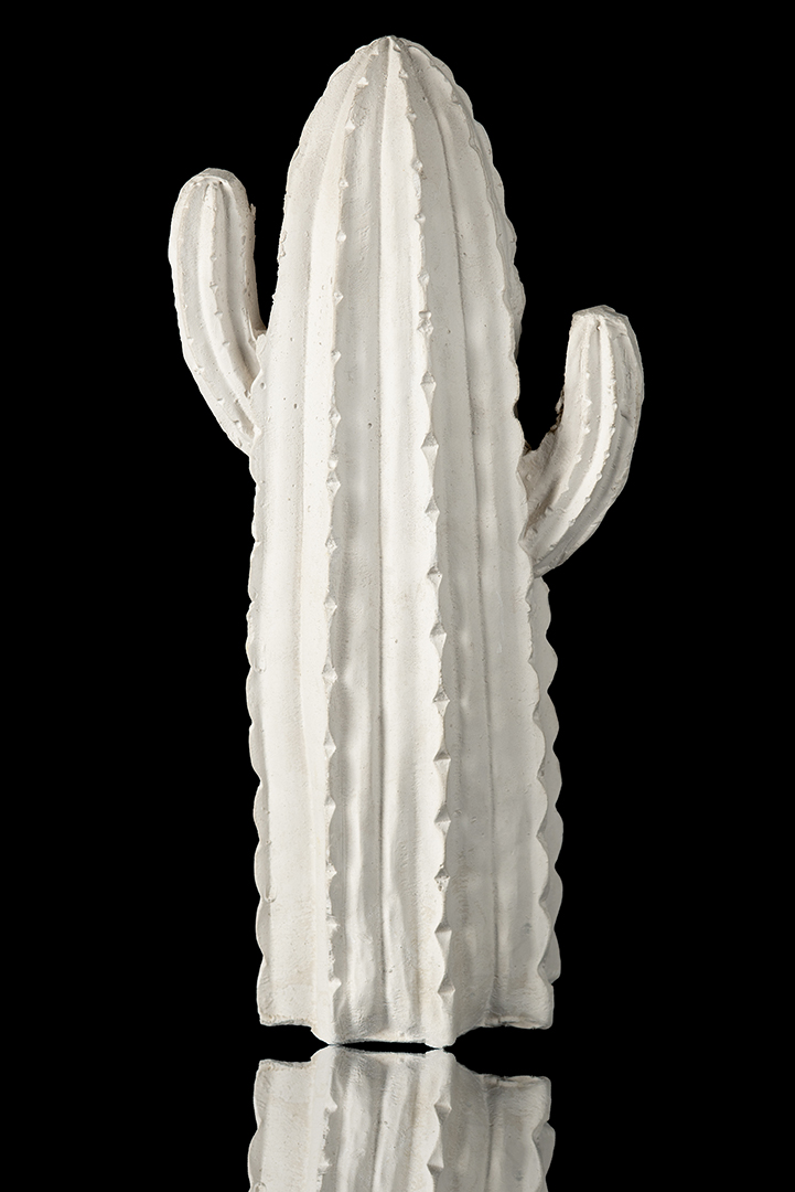 Cactus de yeso