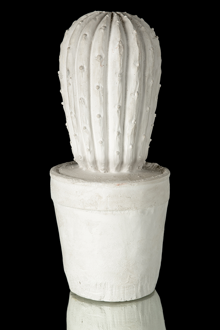 Cactus de yeso