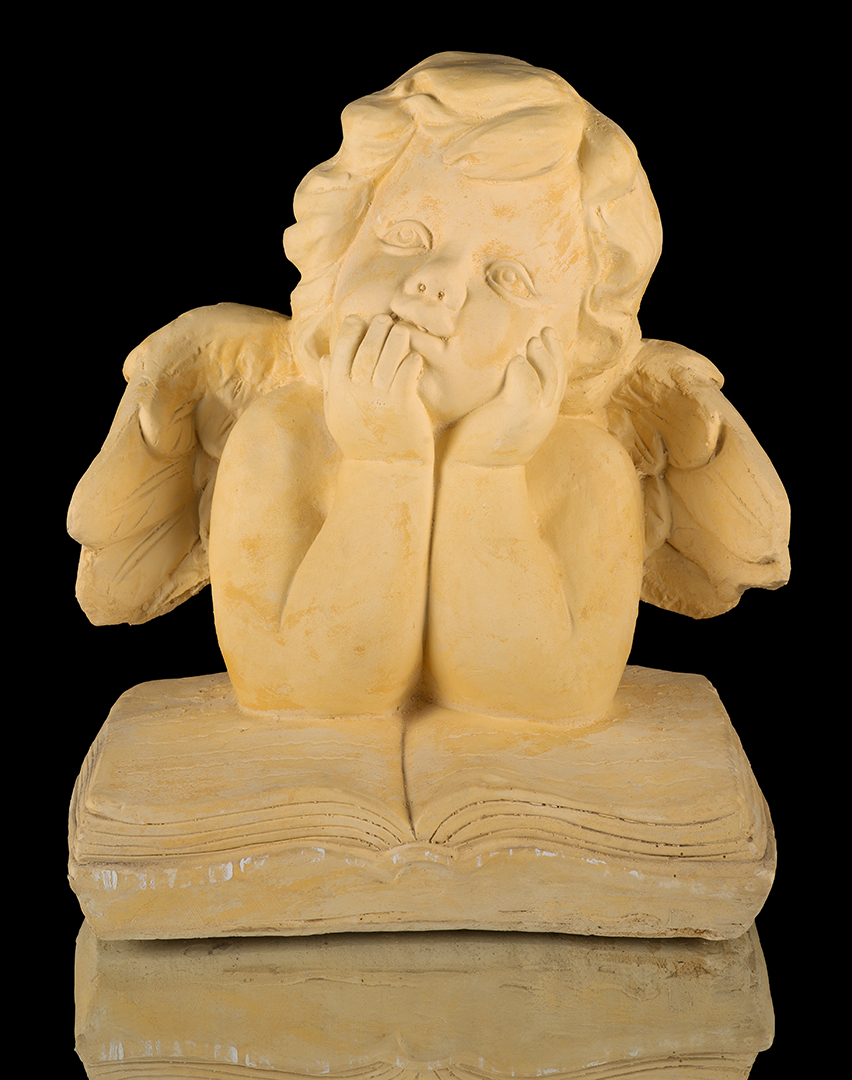 Cara de ángel contemplando