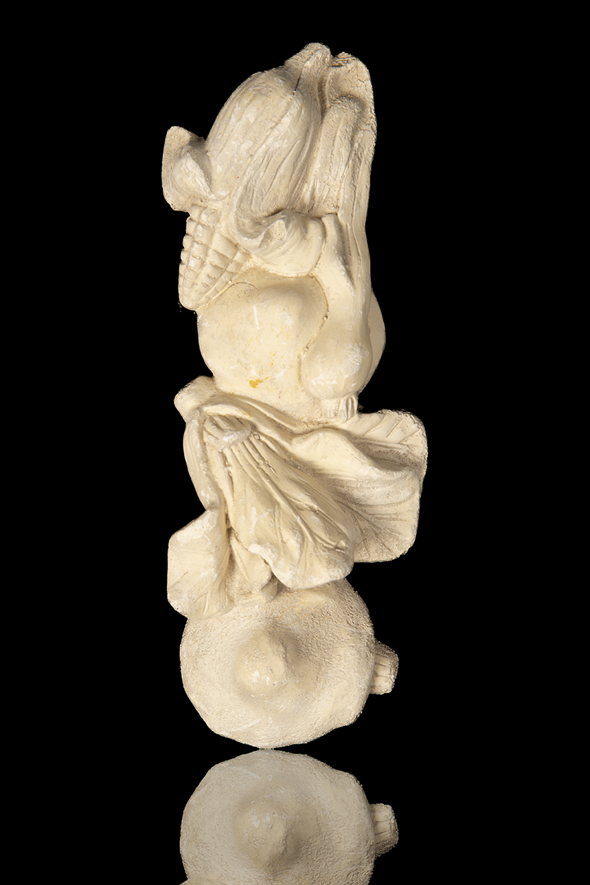 Flutas de yeso con verduras